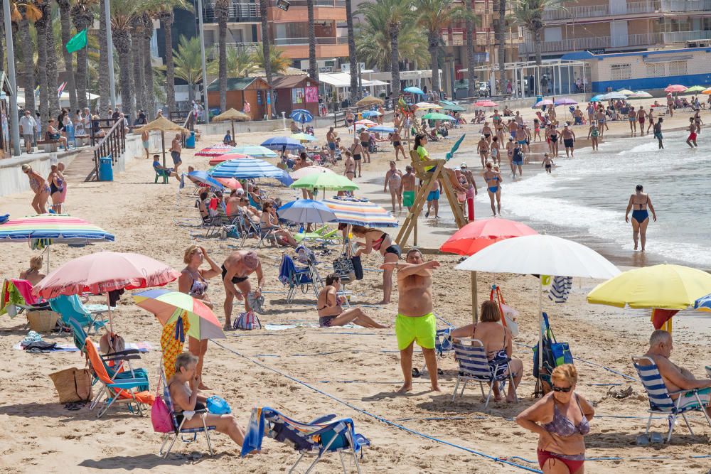 Primer día de baño autorizado en las playas de Torrevieja con arena parcelada y controles de acceso