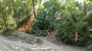 Los bomberos controlan un incendio forestal cerca de la Font Roja de Alcoy