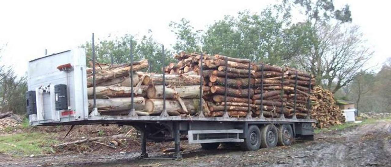 Un camión cargado de madera en una pista del lugar de Cangas (Lalín) en días pasados. // A.Presas