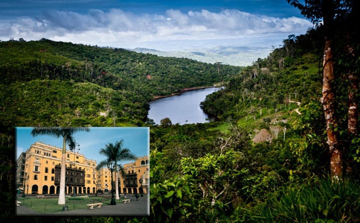 Selva y ciudad