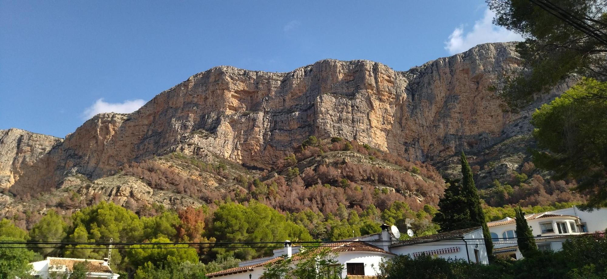 El Montgó, tras las lluvias: contraste entre el verde y el marrón de los pinos muertos