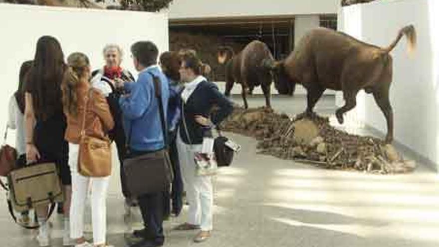 Arsuaga presenta la nueva instalación de los bisontes.