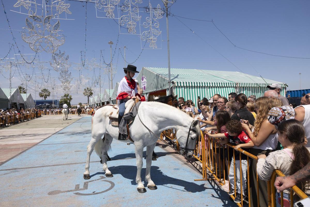 Desfile de carrozas y caballistas de la Feria de Mayo 2026 de Torrevieja este domingo