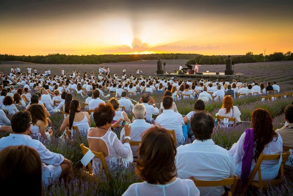 Festival de la Lavanda