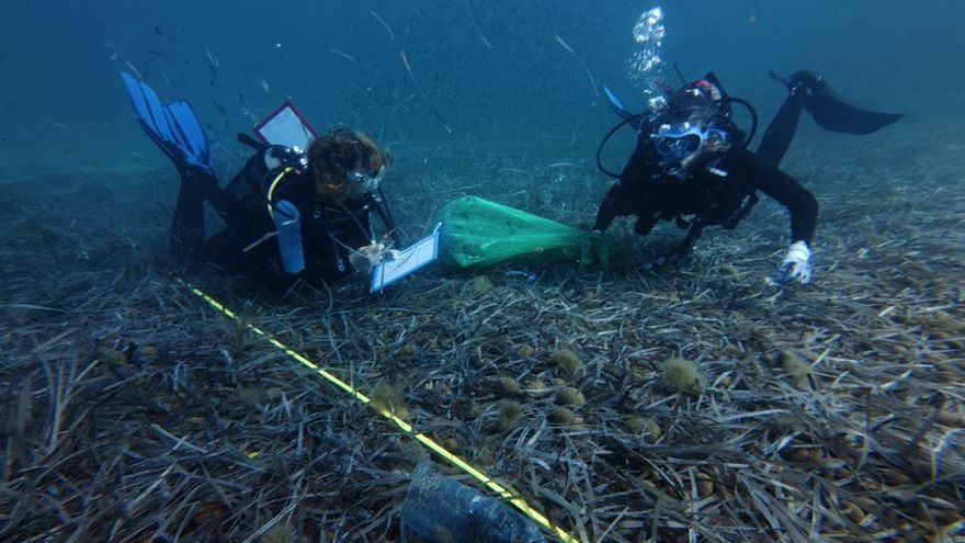 Toallitas, gafas de sol y hasta un váter, los residuos encontrados por IbizaPreservation en el mar de Ibiza y Formentera