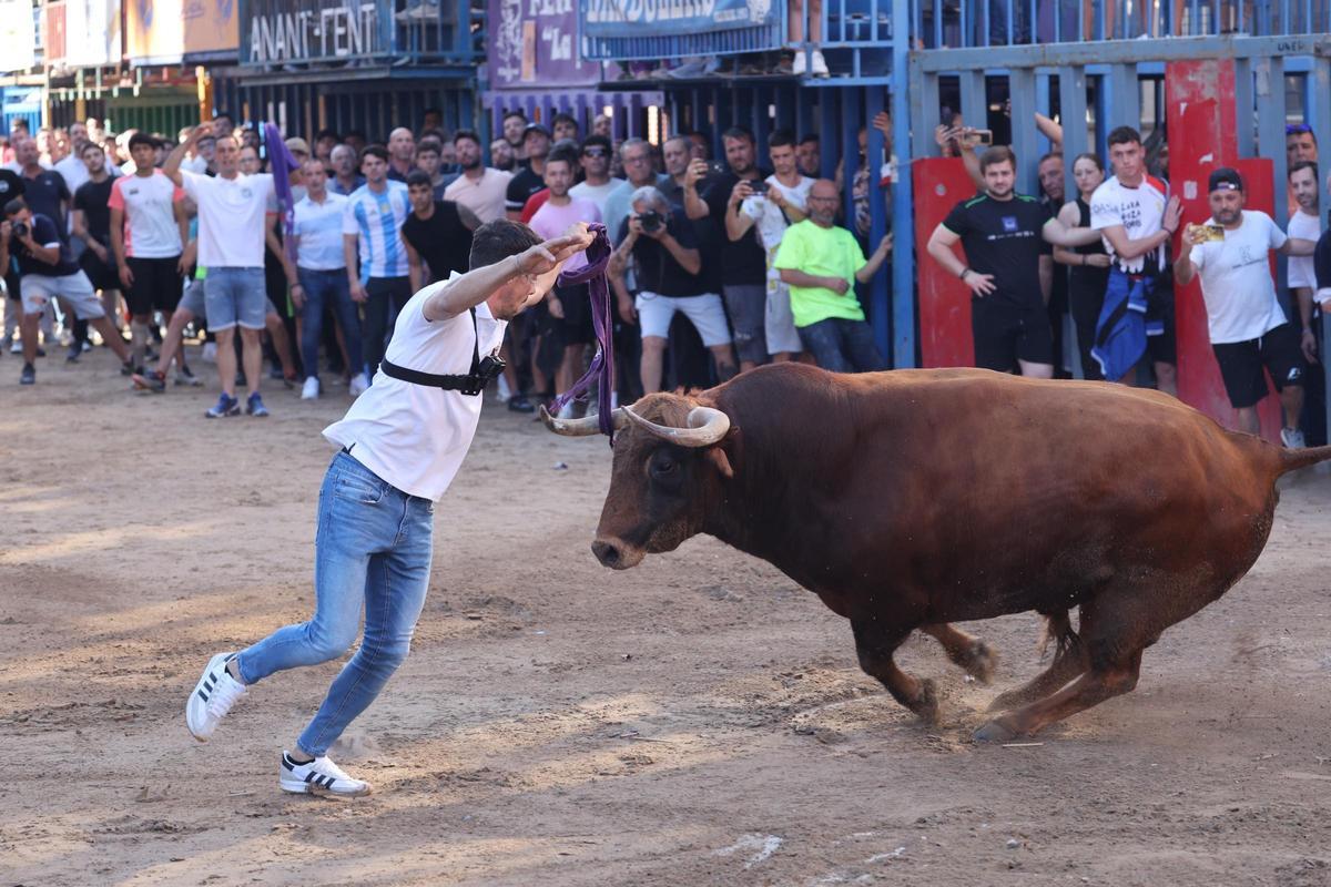 Fotogalería I Las imágenes de la tercera jornada de 'bou al carrer' de las fiestas de Sant Pasqual en Vila-real