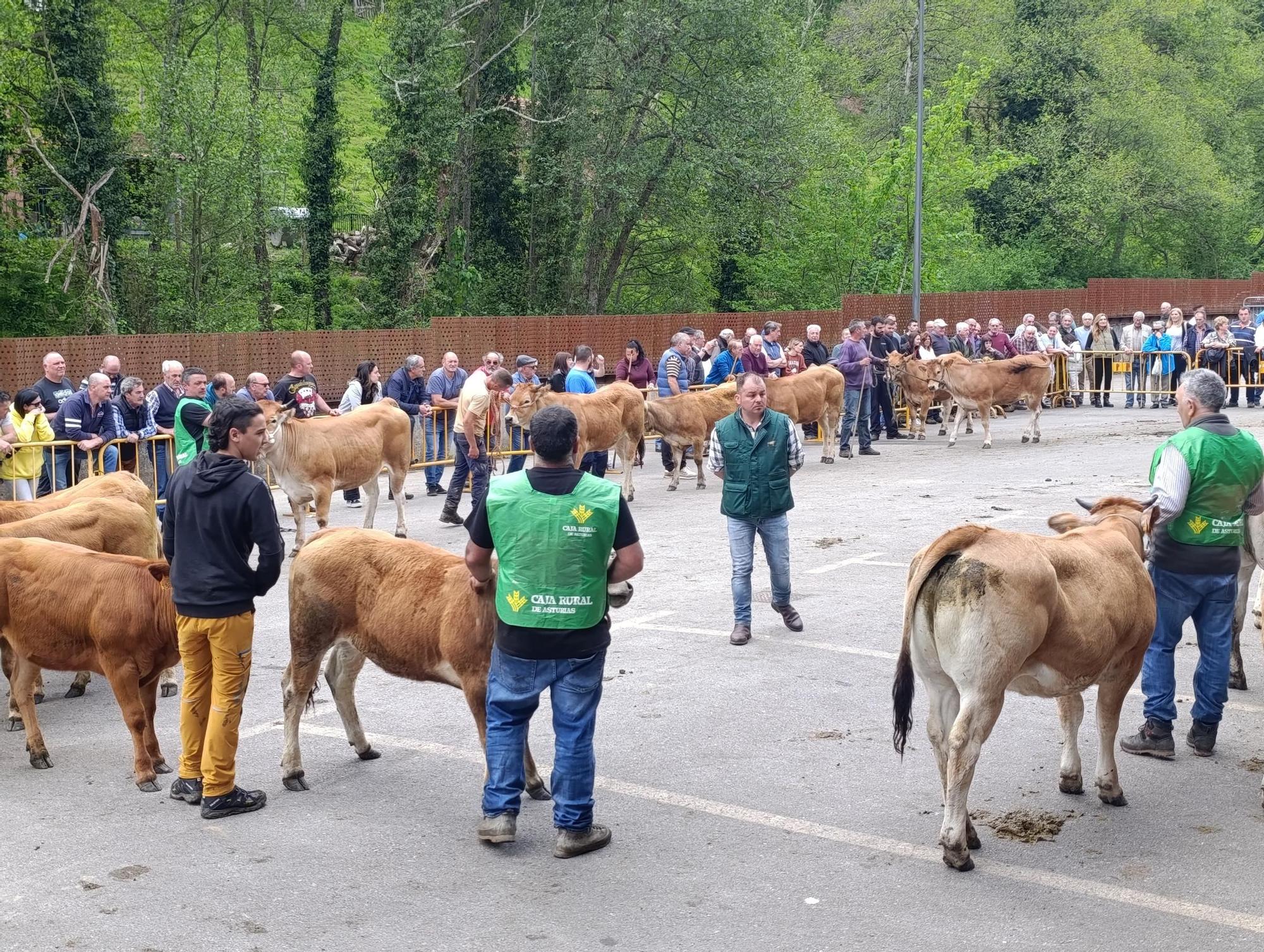 El XXXI Certamen-Exposición de Asturiana de los Valles de Teverga, en imágenes