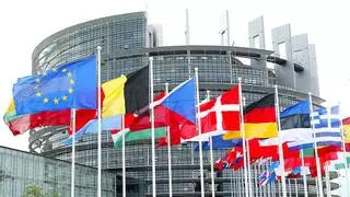 La Unió denuncia que los eurodiputados valencianos del PP aceptan productos con fitosanitarios prohibidos en la UE