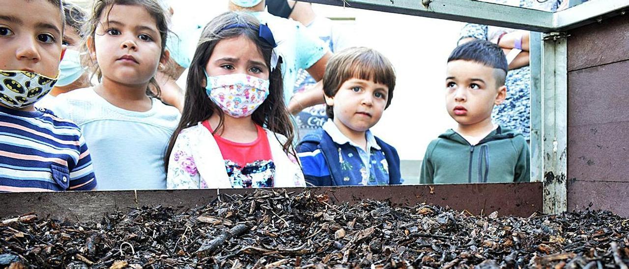 Los niños observan de cerca cómo se reciclan los residuos orgánicos.