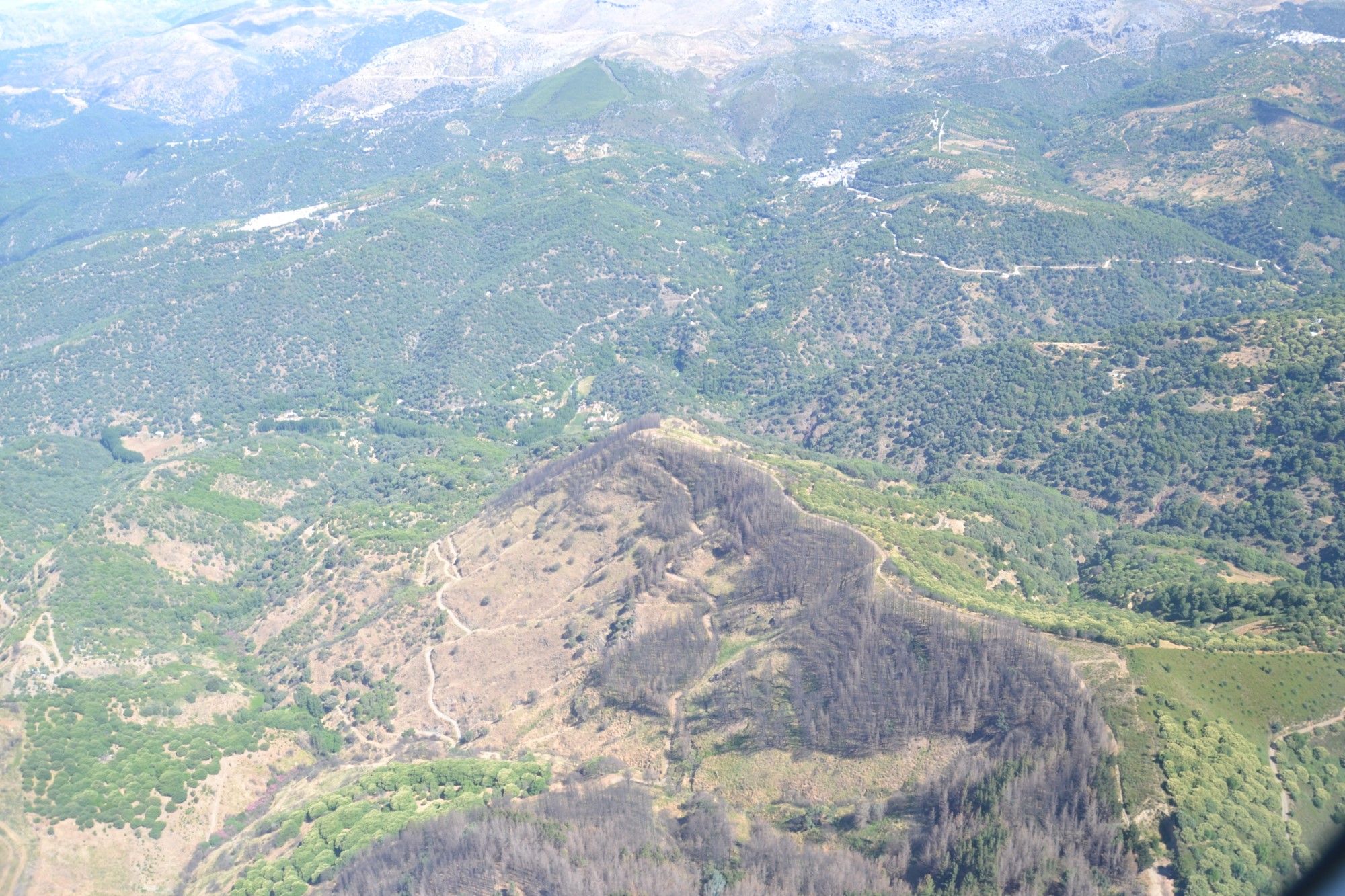 Así ha quedado la zona afectada por el incendio de Pujerra, ya extinguido