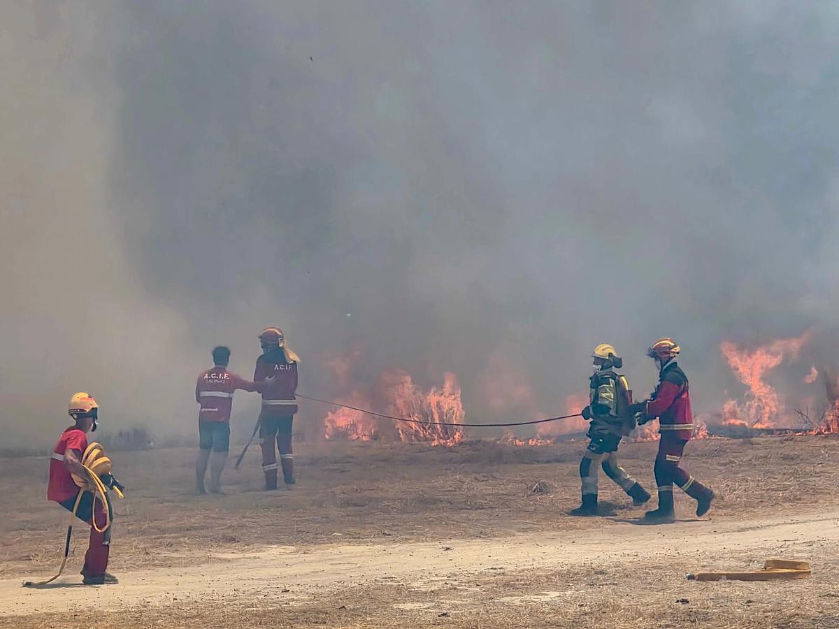 Las imágenes del incendio declarado en el cauce del río Vinalopó en pleno casco urbano de Sax Las imágenes del incendio declarado en el cauce del río Vinalopó en pleno casco urbano de Sax