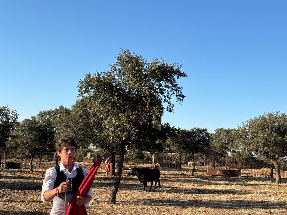 GALERÍA | Alumnos de la Escuela Taurina de Navas del Rey participan en una retienta en la ganadería Toros Villalpando