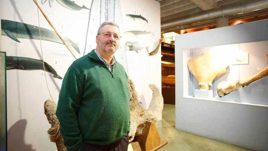 Carlos Nores, ayer, en la estancia dedicada a las ballenas en el Museo Marítimo de Asturias, en Luanco.