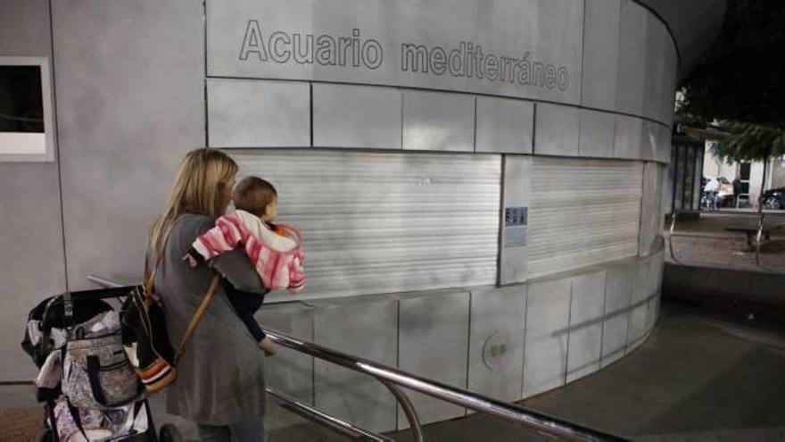 Todas las persianas del acuario de la Plaza Nueva permanecen cerradas desde ayer, cuando el Ayuntamiento decidió el traslado de los peces al Oceanogràfic de València.