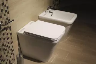 Este es el motivo por el que has de echar sal en el váter todas las noches