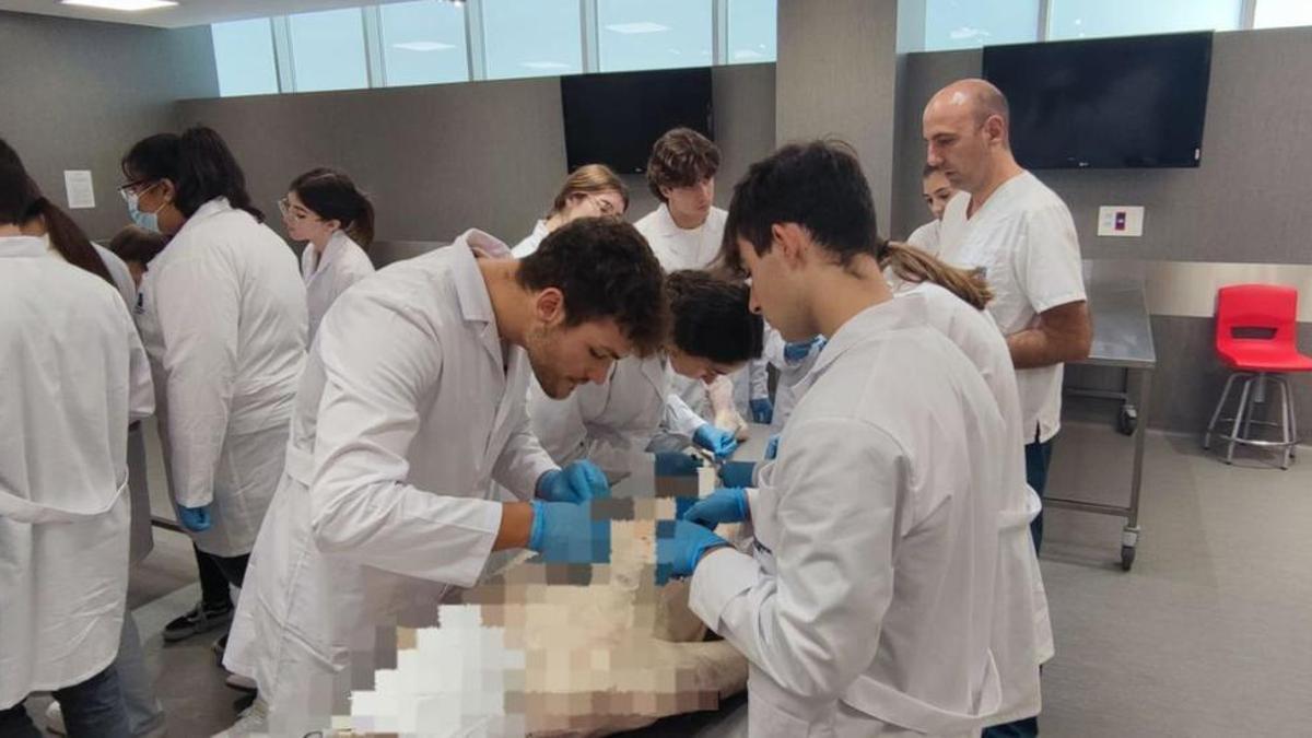 Estudiantes del área de Salud de la UJI, en la Sala de Disección, en unas prácticas para formarse como sanitarios.