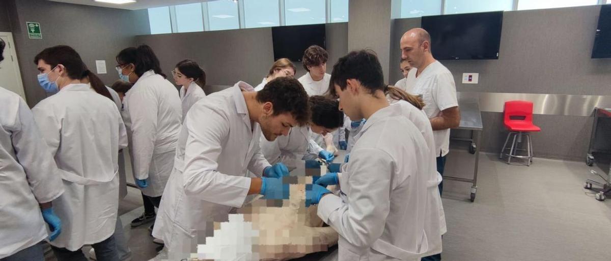 Estudiantes del área de Salud de la UJI, en la Sala de Disección, en unas prácticas para formarse como sanitarios.