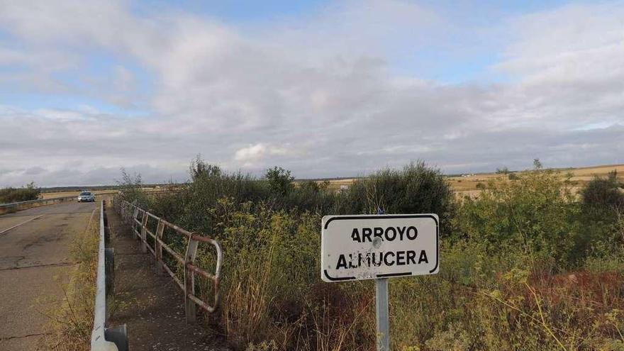 Cauce del arroyo Almucera repleto de maleza.