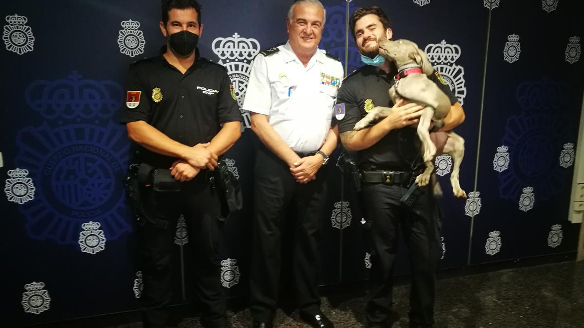 Gray, con agentes del grupo de Guías Caninos y el jefe superior, Gonzalo Espino.
