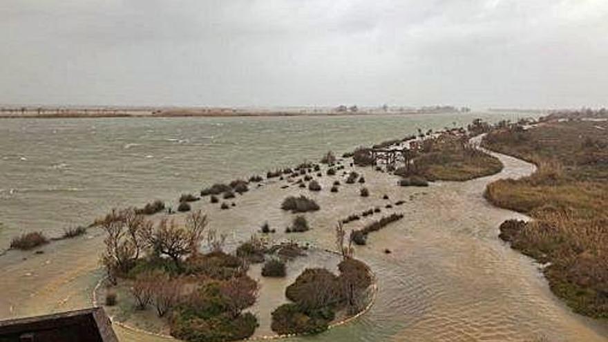 Inundacions al delta de l&#039;Ebre per la borrasca Glòria