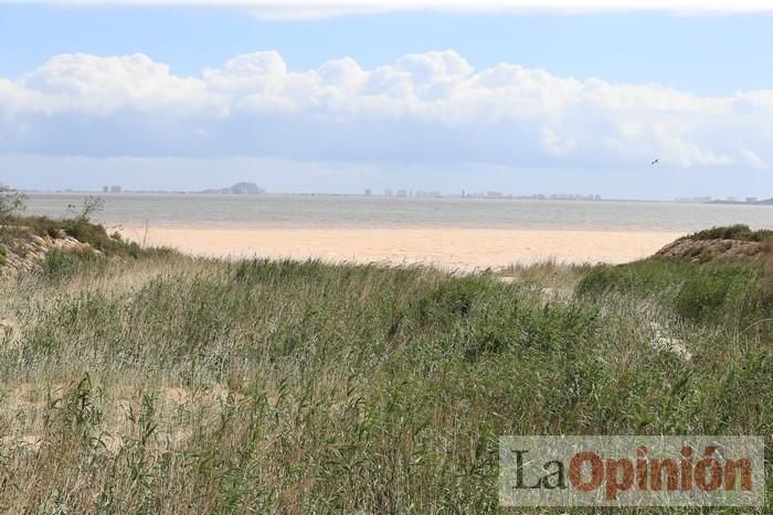 Limpian Los Alcázares tras las fuertes lluvias de los últimos días