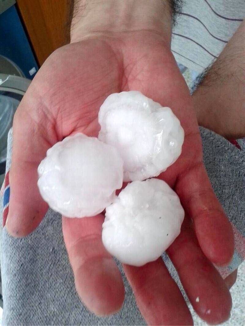 Fotogalería: Verano atípico en Aragón