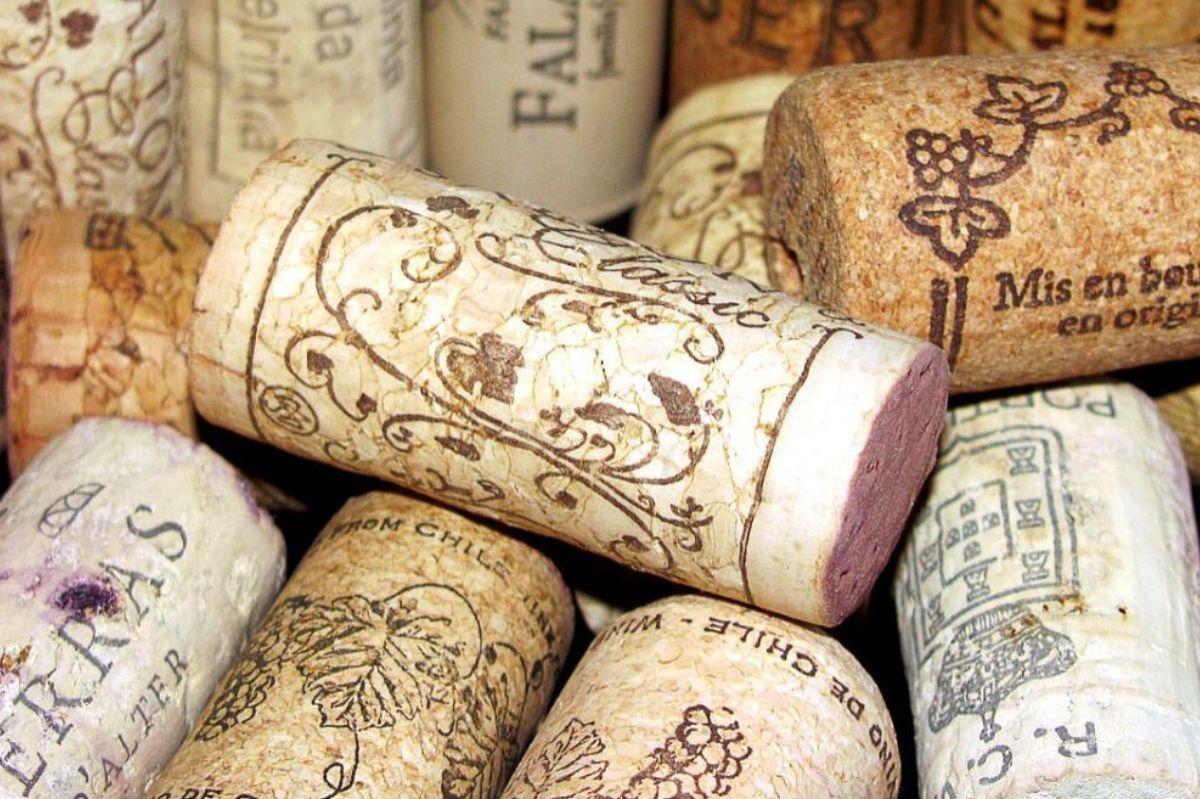 Poner un corcho de vino en el frigorífico el truco para eliminar el mayor problema de la casa