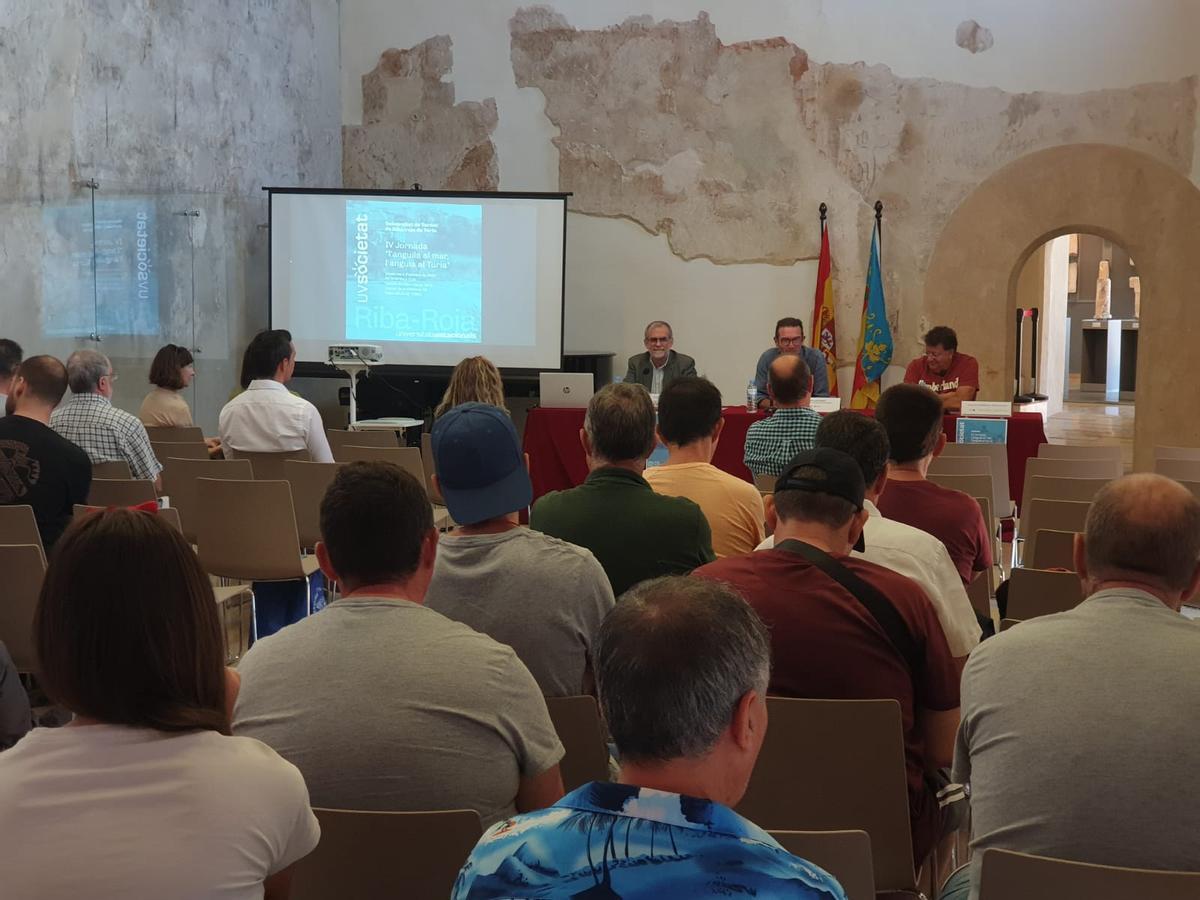 Jornada Anguila Riba roja IV