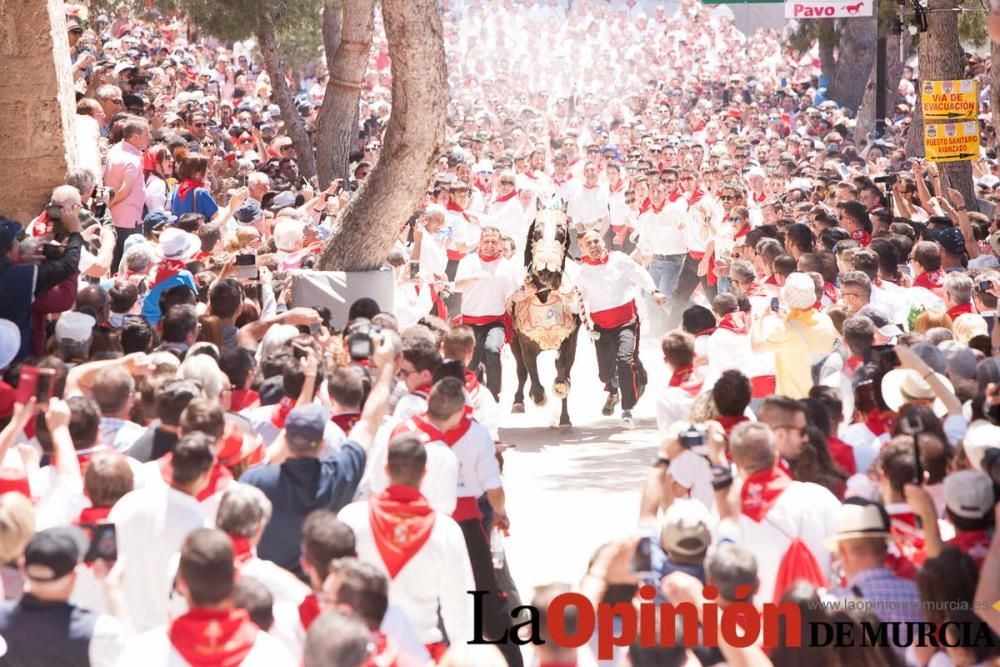 Carrera de los Caballos del Vino