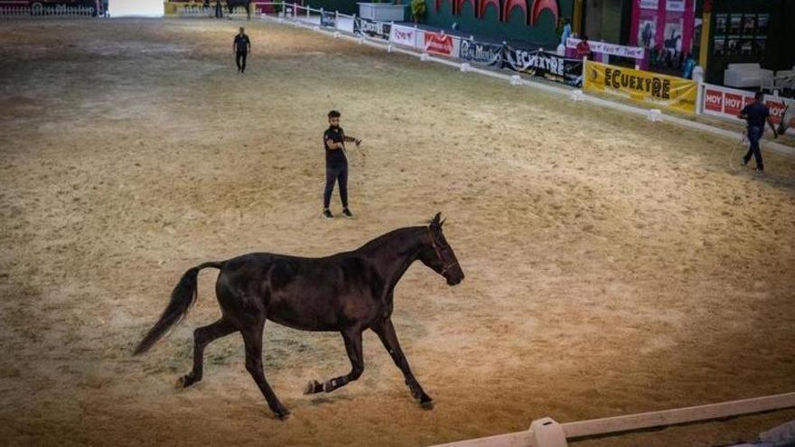 Imagen de una de las competiciones llevadas a cabo en el marco de Ecuextre el pasado fin de semana.