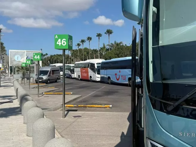 Colas fuera del aeropuerto Tenerife Sur tras la instalación de las barreras de accesos para los vehículos de transporte de pasajeros