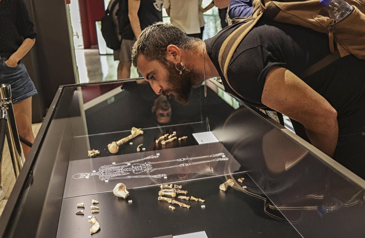 Hace 50.000 años. Presentación en el Museu dArqueologia de Catalunya de los restos neandertales más importantes hallados en Catalunya