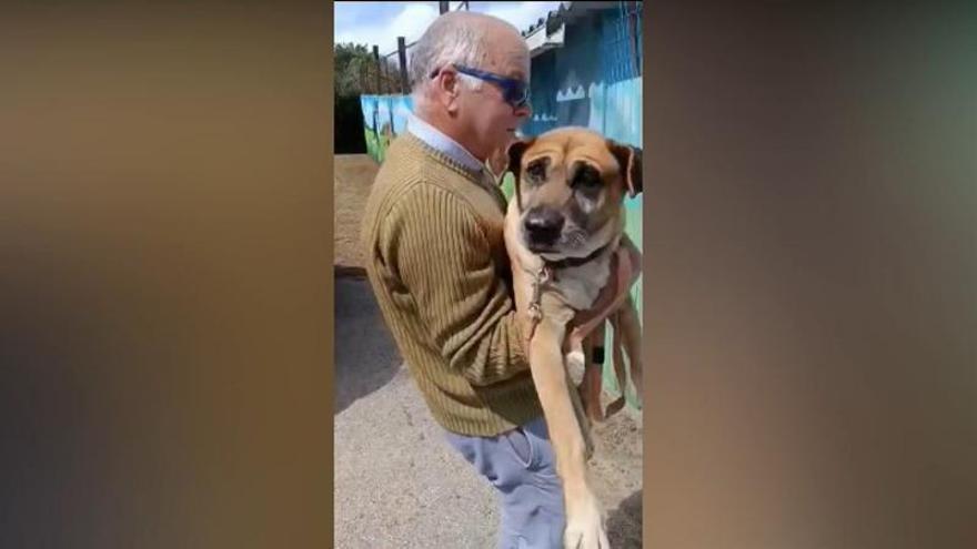 Aloia Protectora de Animais de Tui: «La cogieron en brazos, la subieron a un coche y la fueron a tirar en medio del monte»