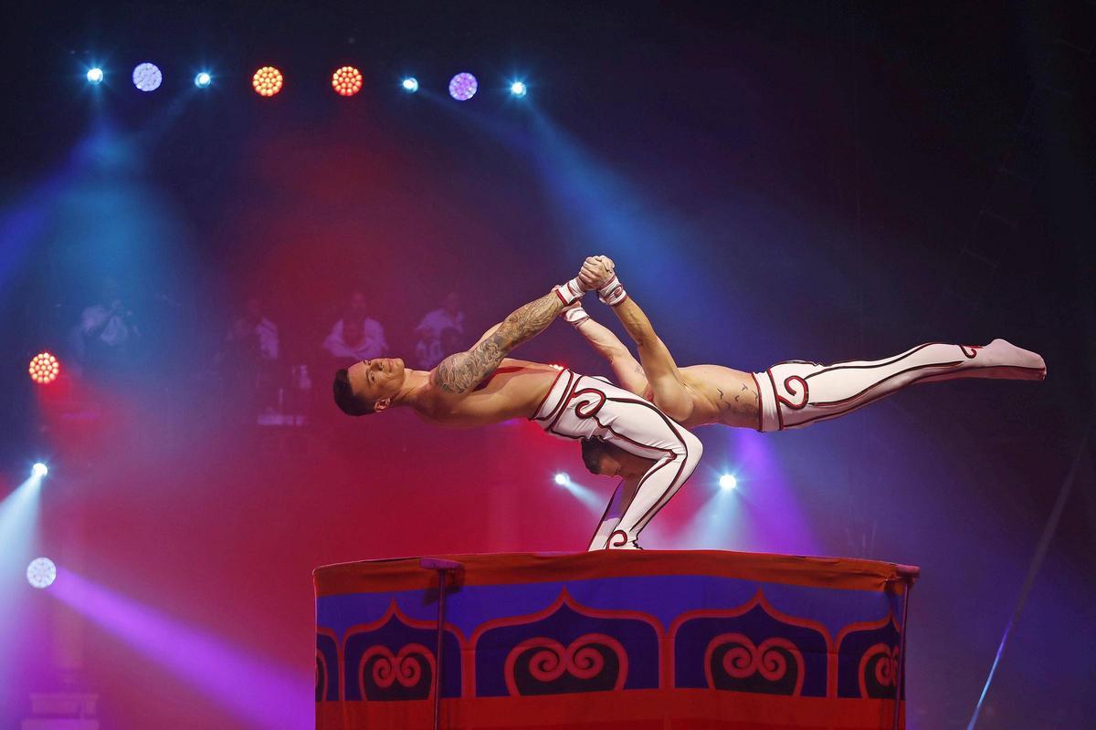 Les fotos d'alguns dels artistes del Festival Internacional del Circ de Girona 2026