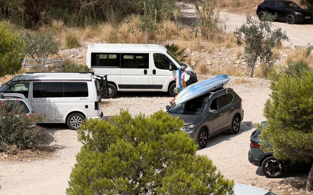 Furgonetas 'Camper' aparcadas junto a la pinada de la playa Mascarat de Altea.