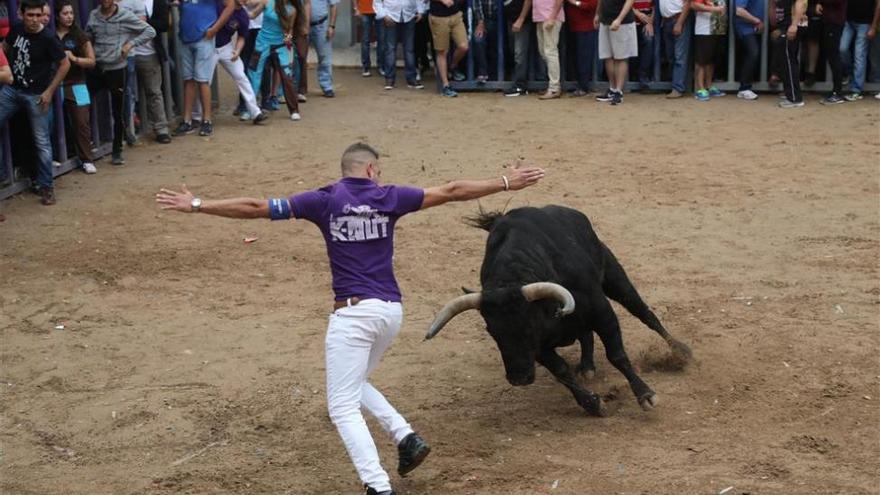 El ‘extravío’ de los papeles de los toros atrasa su exhibición