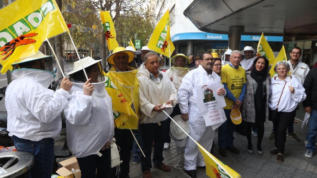 Apicultores exigen protección para la miel española al importarse &quot;sucedáneos&quot; de China