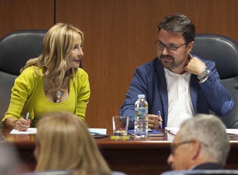 Reunión del comité ejecutivo autonómico del PP.