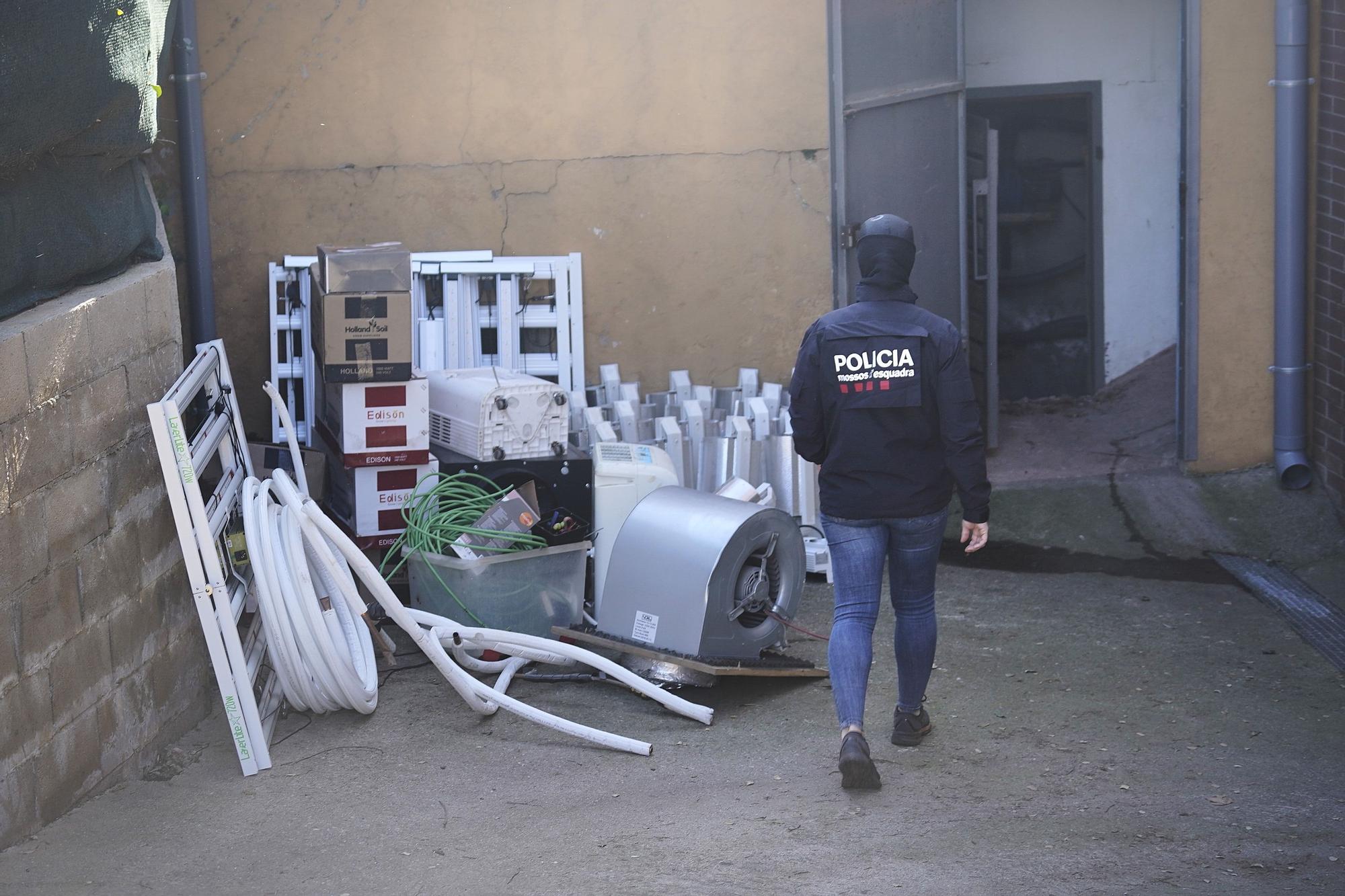 Troben un cultiu de marihuana en un xalet a tocar de l'escola de Fornells