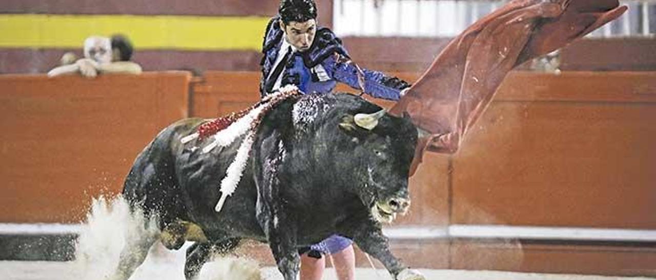 TVE aplicó su manual de &quot;manipulación, censura y malas prácticas&quot; a la ley de toros a la balear, puesto que el telediario amontonó hasta cinco opiniones en contra del texto emanado del Parlament por solo una voz a favor, a cargo de una sociedad animalista.