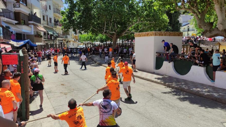Integrantes de la ABTE con camiseta naranja durante la exhibición del enmaromado en Beas en 2024. | ABTE