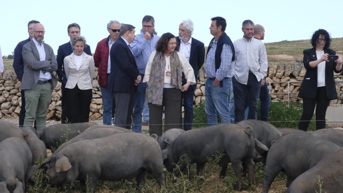 El sector primario pide que se legisle el acceso a la tierra para evitar que la agricultura desaparezca: &quot;Los europeos quieren comprar nuestros campos&quot;