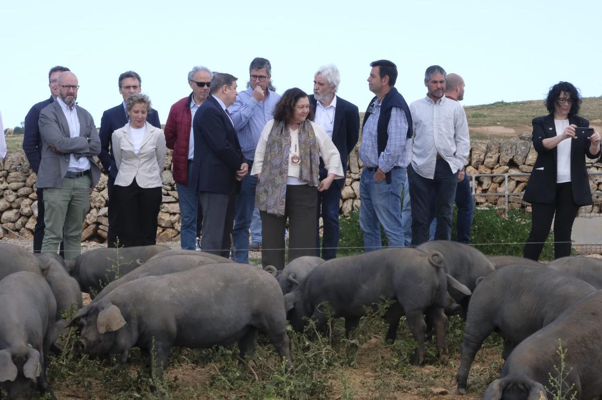 El sector primario pide que se legisle el acceso a la tierra para evitar que la agricultura desaparezca: &quot;Los europeos quieren comprar nuestros campos&quot;