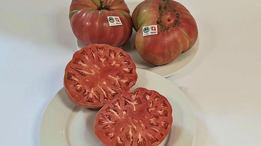 EL TOMATE ROSA DE BARBASTRO SE CARACTERIZA POR SU GRAN CALIBRE Y COLOR.   |     