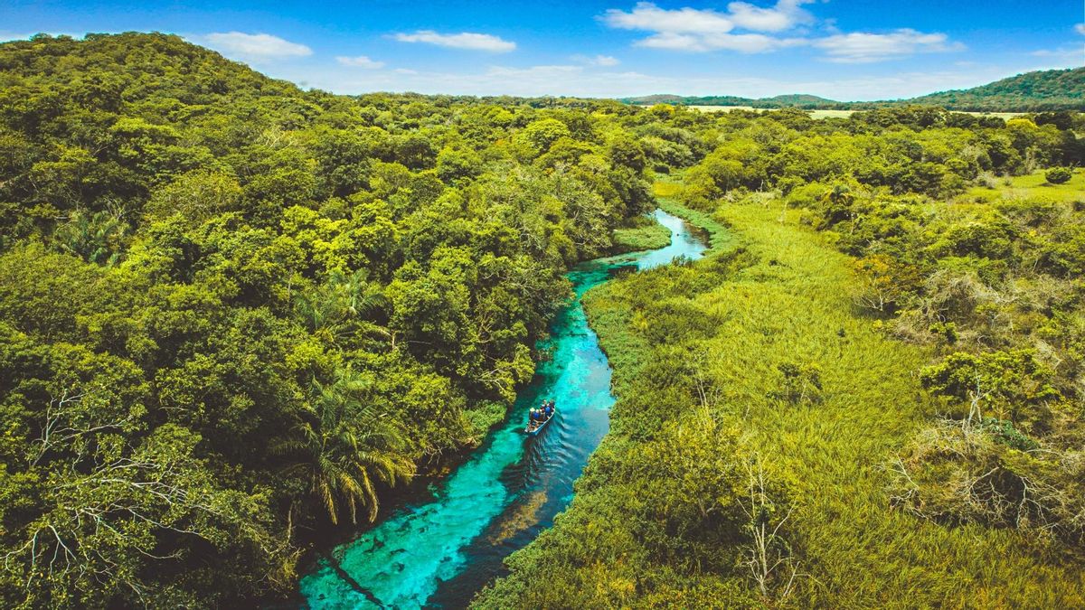 Es uno de los lugares más fascinantes de Brasil: tiene las aguas más azules del mundo.
