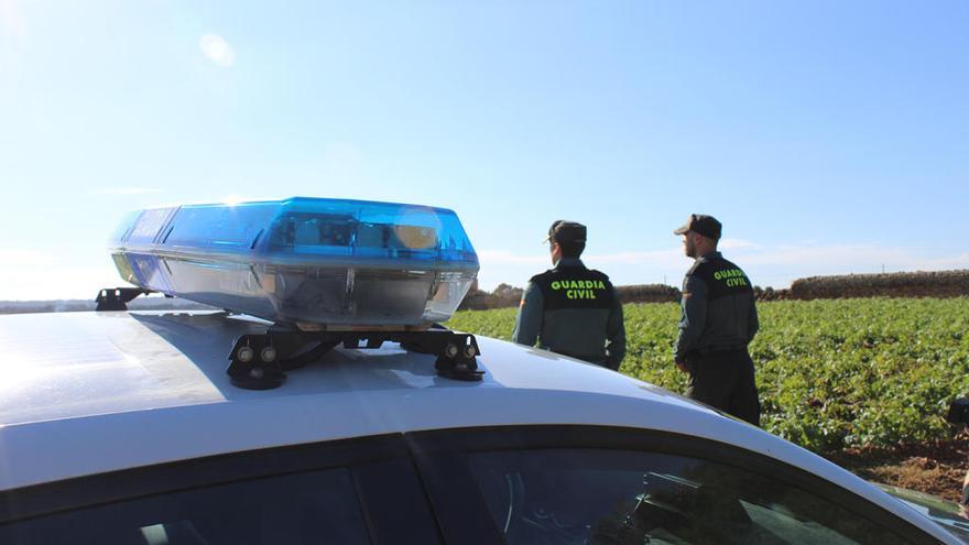 Agentes de la Guardia Civil en una explotaciÃ³n agrÃ­cola de Mallorca.