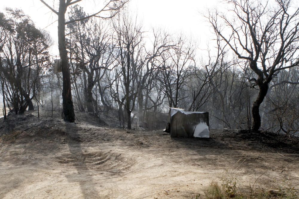 L'endemà de l'incendi de Santa Coloma de Farners