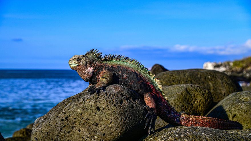 La comunidad científica internacional experta en las Islas Galápagos elige València para abordar las mejores prácticas sobre sostenibilidad y turismo responsable