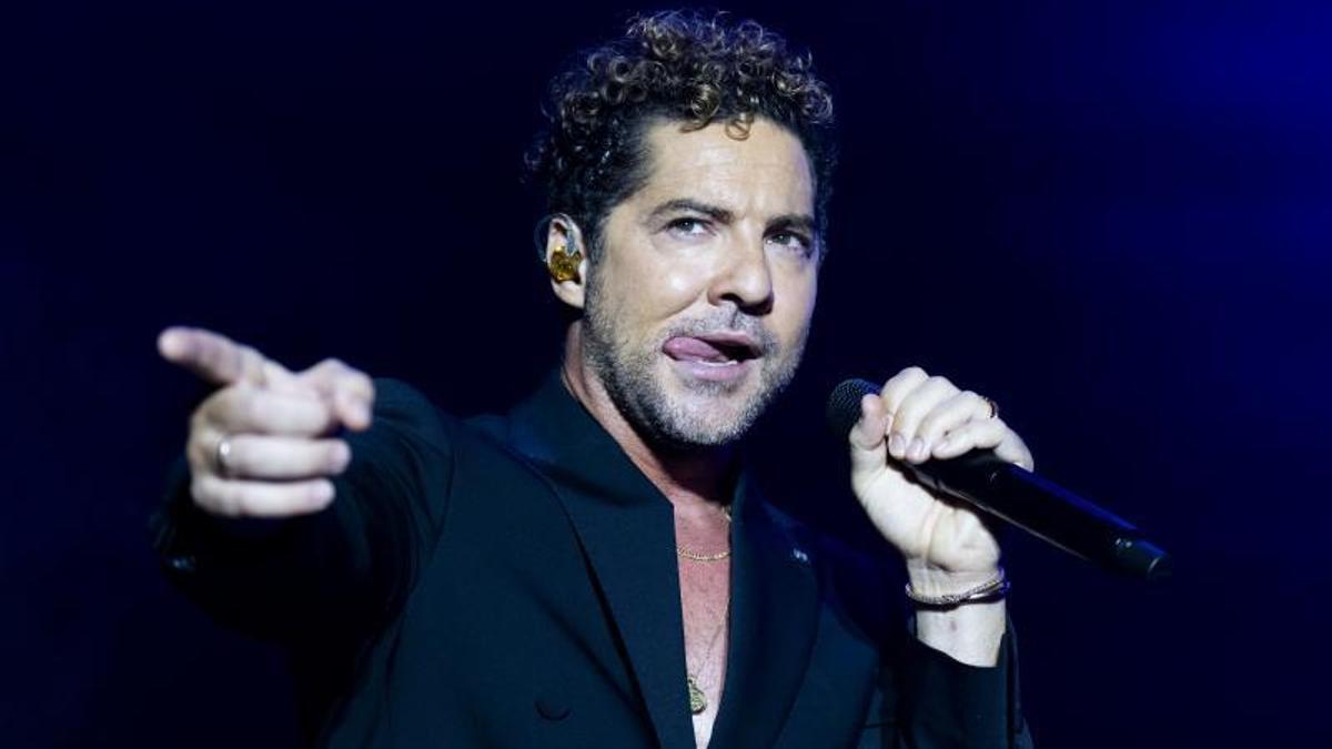 El cantante David Bisbal.