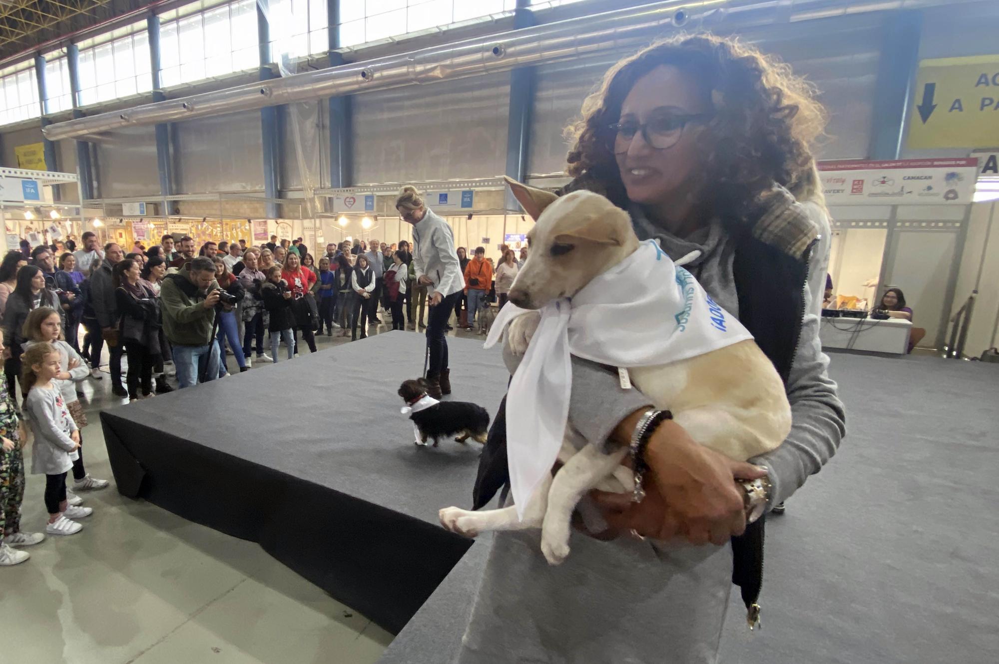 Amor por los animales en IFA